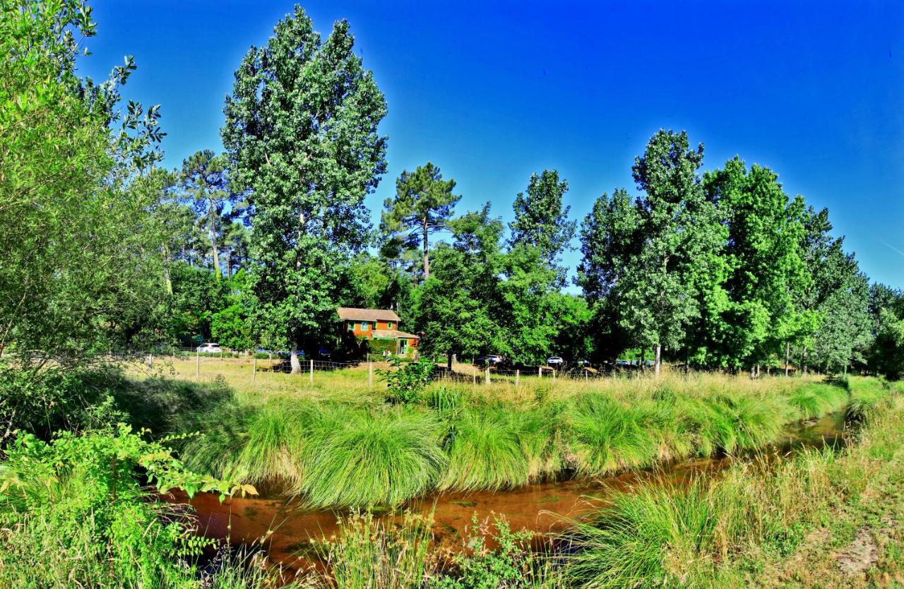Village Nature Et Ocean A Cote De La Plage Avec Piscine Et Jacuzzi Messanges (Landes) Exterior foto